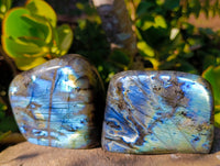 Polished Labradorite Standing Free Forms x 2 From Tulear, Madagascar - Toprock Gemstones and Minerals