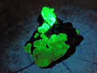 Natural Schorl Black Tourmaline Specimens x 6 From Erongo, Namibia - Toprock Gemstones and Minerals