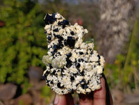 Natural Schorl Black Tourmaline Specimens x 6 From Erongo, Namibia - Toprock Gemstones and Minerals