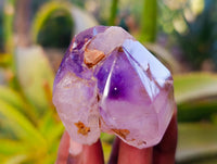 Polished Window Amethyst Crystals x 9 From Madagascar - Toprock Gemstones and Minerals