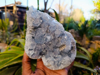 Natural Celestite Specimen x 1 From Sakoany, Madagascar - Toprock Gemstones and Minerals