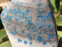 Polished Blue Spinel Spotted Standing Leaf Sculptures x 2 From Madagascar - Toprock Gemstones and Minerals