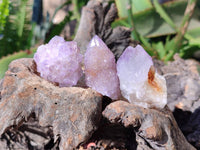 Natural Amethyst Spirit Quartz Specimens x 35 From Boekenhouthoek, South Africa - Toprock Gemstones and Minerals