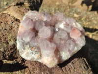 Natural Amethyst Spirit Quartz Clusters x 2 From Boekenhouthoek, South Africa - Toprock Gemstones and Minerals