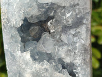 Polished Celestite Points x 2 From Sakoany, Madagascar - Toprock Gemstones and Minerals