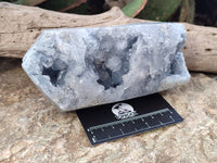 Polished Celestite Points x 2 From Sakoany, Madagascar - Toprock Gemstones and Minerals
