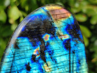 Polished Labradorite Standing Free Forms x 4 From Tulear, Madagascar - Toprock Gemstones and Minerals