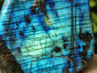 Polished Labradorite Standing Free Forms x 4 From Tulear, Madagascar - Toprock Gemstones and Minerals