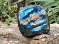 Polished Labradorite Standing Free Forms x 4 From Tulear, Madagascar - Toprock Gemstones and Minerals