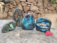 Polished Labradorite Standing Free Forms x 4 From Tulear, Madagascar - Toprock Gemstones and Minerals