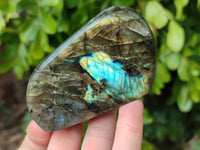 Polished Labradorite Standing Free Forms x 4 From Tulear, Madagascar - Toprock Gemstones and Minerals