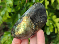 Polished Labradorite Standing Free Forms x 4 From Tulear, Madagascar - Toprock Gemstones and Minerals