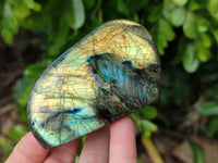 Polished Labradorite Standing Free Forms x 4 From Tulear, Madagascar - Toprock Gemstones and Minerals
