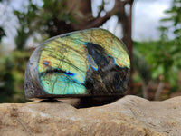 Polished Labradorite Standing Free Forms x 4 From Tulear, Madagascar - Toprock Gemstones and Minerals