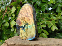 Polished Labradorite Standing Free Forms x 4 From Tulear, Madagascar - Toprock Gemstones and Minerals