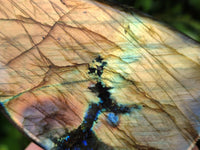 Polished Labradorite Standing Free Forms x 4 From Tulear, Madagascar - Toprock Gemstones and Minerals