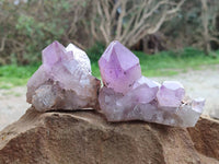 Natural Jacaranda Amethyst Clusters x 6 From Zambia - Toprock Gemstones and Minerals