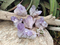 Natural Jacaranda Amethyst Clusters x 6 From Zambia - Toprock Gemstones and Minerals
