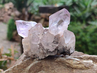 Natural Jacaranda Amethyst Clusters x 6 From Zambia - Toprock Gemstones and Minerals