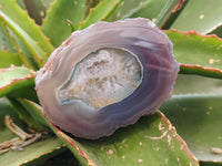Polished On One Side Red Sashe River Agate Nodules x 7 From Zimbabwe - Toprock Gemstones and Minerals