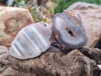 Polished On One Side Red Sashe River Agate Nodules x 7 From Zimbabwe - Toprock Gemstones and Minerals