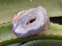 Polished On One Side Red Sashe River Agate Nodules x 7 From Zimbabwe - Toprock Gemstones and Minerals