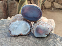 Polished On One Side Red Sashe River Agate Nodules x 7 From Zimbabwe - Toprock Gemstones and Minerals