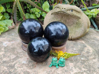 Polished Black Basalt Spheres x 3 From Antsirabe, Madagascar - Toprock Gemstones and Minerals