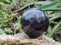 Polished Black Basalt Spheres x 3 From Antsirabe, Madagascar - Toprock Gemstones and Minerals