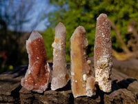 Natural Limonite Coated Fairy Spirit Quartz Clusters x 24 From South Africa - Toprock Gemstones and Minerals