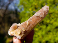 Natural Limonite Coated Fairy Spirit Quartz Clusters x 24 From South Africa - Toprock Gemstones and Minerals