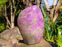 Polished Stichtite Standing Free Form x 1 From Barberton, South Africa - Toprock Gemstones and Minerals