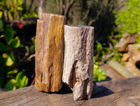 Polished On One Side Petrified Wood x 6 From Gokwe, Zimbabwe - Toprock Gemstones and Minerals