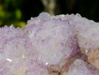 Natural Amethyst Spirit Quartz Cluster x 1 From South Africa - Toprock Gemstones and Minerals
