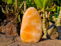 Polished Orange Twist Calcite Standing Free Forms x 3 From Madagascar - Toprock Gemstones and Minerals