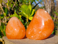 Polished Orange Twist Calcite Standing Free Forms x 3 From Madagascar - Toprock Gemstones and Minerals