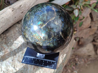 Polished Labradorite Sphere x 1 From Tulear, Madagascar - Toprock Gemstones and Minerals