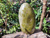 Polished Green Opal Standing Free Form x 1 From Madagascar - Toprock Gemstones and Minerals