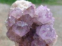 Natural Amethyst Spirit Quartz Clusters x 4 From South Africa - Toprock Gemstones and Minerals