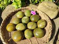 Polished Green Opal Palm Stones x 12 From Madagascar - Toprock Gemstones and Minerals
