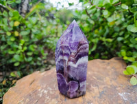 Polished Chevron Amethyst Crystals x 2 From Zambia - Toprock Gemstones and Minerals