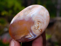 Polished Carnelian Agate Palm Stones x 24 From Madagascar - Toprock Gemstones and Minerals