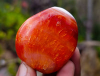 Polished Carnelian Agate Palm Stones x 24 From Madagascar - Toprock Gemstones and Minerals