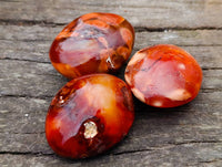 Polished Carnelian Agate Palm Stones x 24 From Madagascar - Toprock Gemstones and Minerals