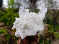 Natural Etched Quartz Clusters x 6 From Zambia - Toprock Gemstones and Minerals