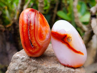 Polished Carnelian Agate Palm Stones x 12 From Madagascar - Toprock Gemstones and Minerals