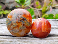 Polished Carnelian Agate Palm Stones x 12 From Madagascar - Toprock Gemstones and Minerals