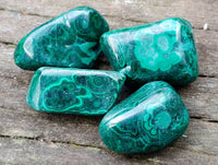 Polished Flower Banded Malachite Free Forms x 70 From Congo - Toprock Gemstones and Minerals