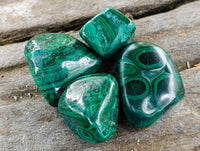 Polished Flower Banded Malachite Free Forms x 70 From Congo - Toprock Gemstones and Minerals