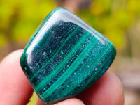 Polished Flower Banded Malachite Free Forms x 70 From Congo - Toprock Gemstones and Minerals